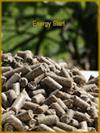 ENERGY START