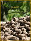 LINAMIX�